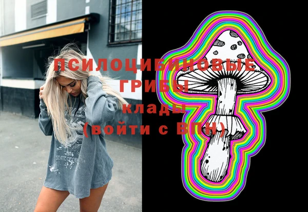 ПСИЛОЦИБИНОВЫЕ ГРИБЫ Абинск