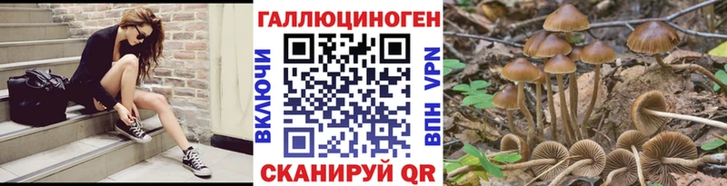 Псилоцибиновые грибы ЛСД  Сургут 