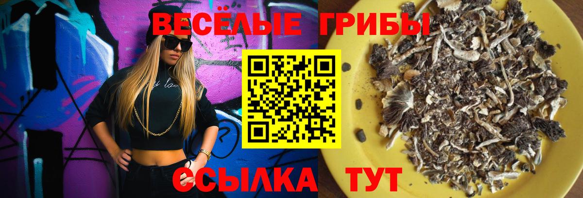 Галлюциногенные грибы Psilocybine cubensis  Галлюциногенные грибы Psilocybine cubensis  Вход с VPN  Сургут 