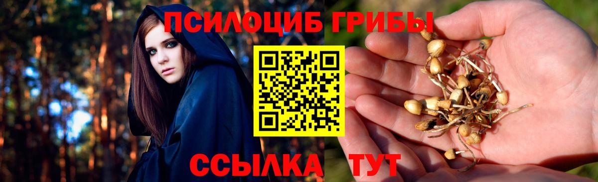 Псилоцибиновые грибы мухоморы Сургут